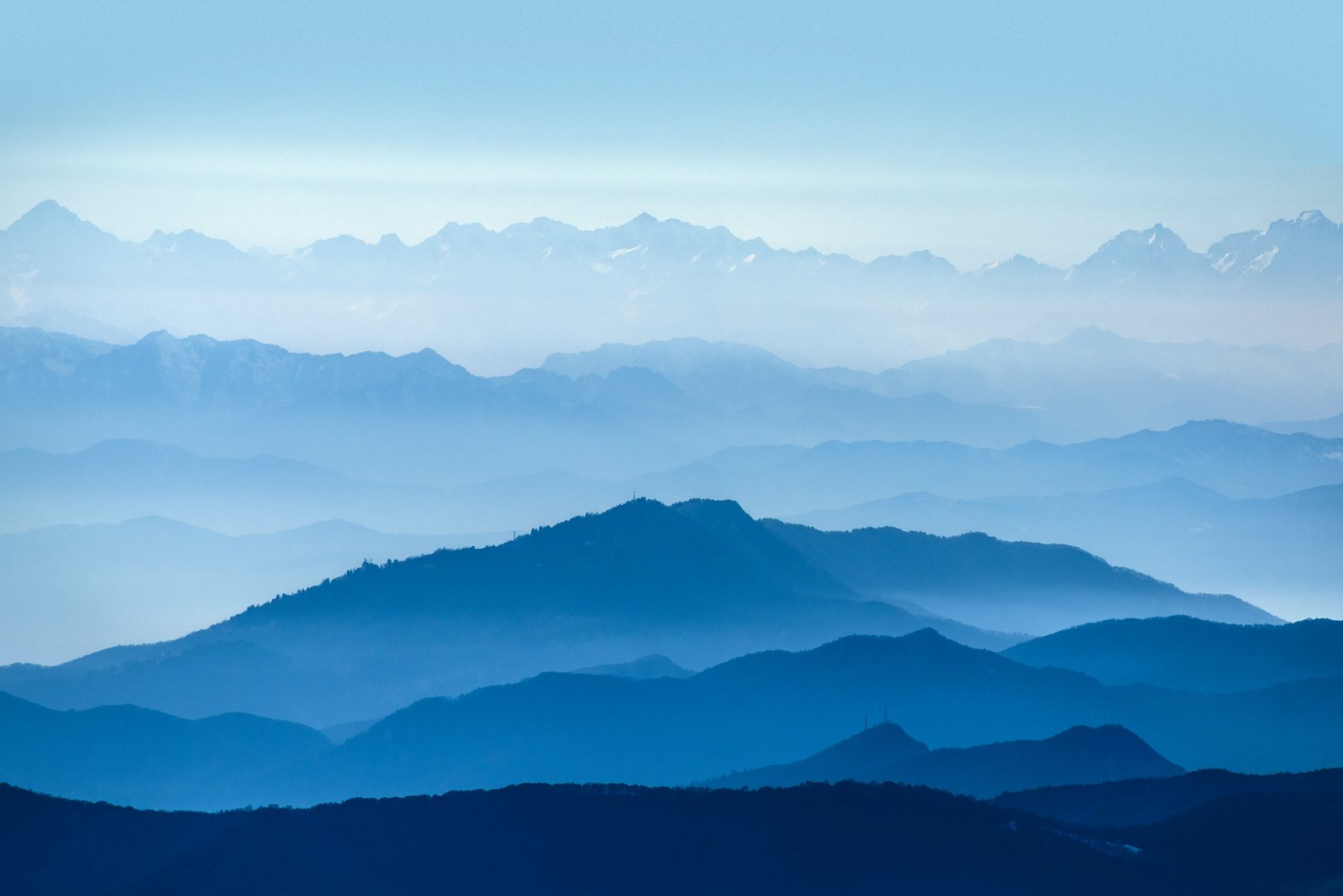 Banner Vicente